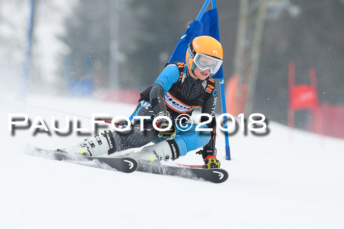 BSV U12 Kids Cross Cup 3 Region 3, 24.02.2018