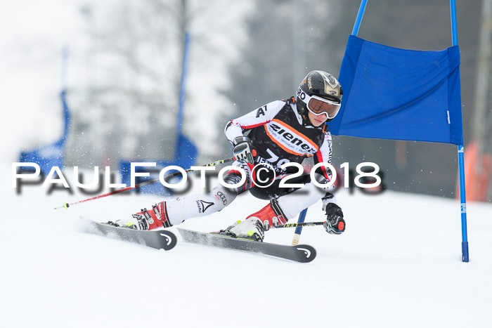 BSV U12 Kids Cross Cup 3 Region 3, 24.02.2018