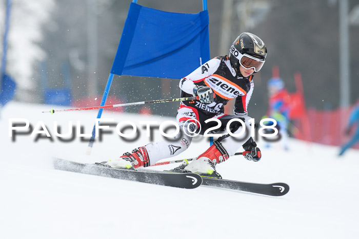 BSV U12 Kids Cross Cup 3 Region 3, 24.02.2018