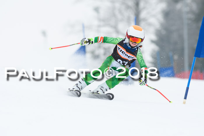 BSV U12 Kids Cross Cup 3 Region 3, 24.02.2018