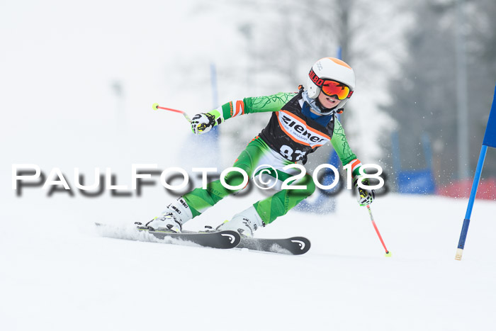 BSV U12 Kids Cross Cup 3 Region 3, 24.02.2018
