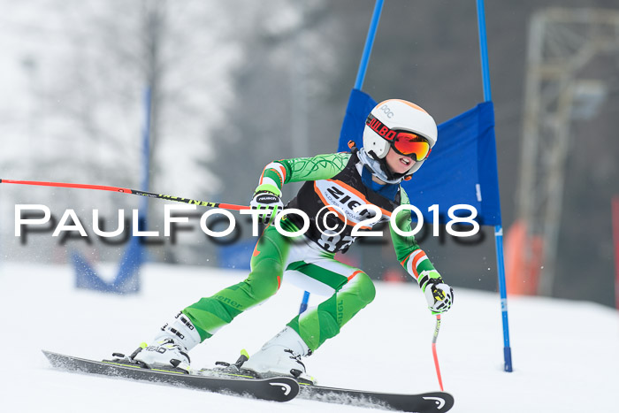 BSV U12 Kids Cross Cup 3 Region 3, 24.02.2018