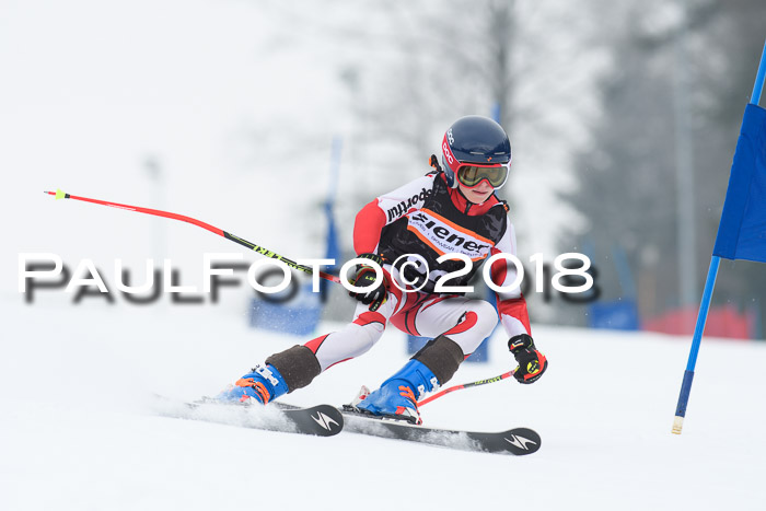 BSV U12 Kids Cross Cup 3 Region 3, 24.02.2018