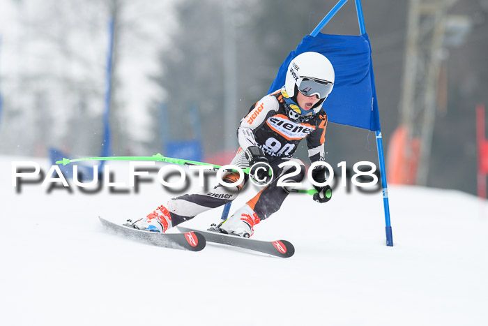 BSV U12 Kids Cross Cup 3 Region 3, 24.02.2018