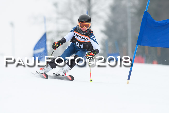 BSV U12 Kids Cross Cup 3 Region 3, 24.02.2018