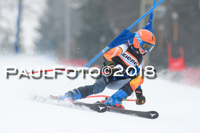 BSV U12 Kids Cross Cup 3 Region 3, 24.02.2018