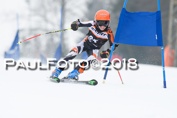 BSV U12 Kids Cross Cup 3 Region 3, 24.02.2018