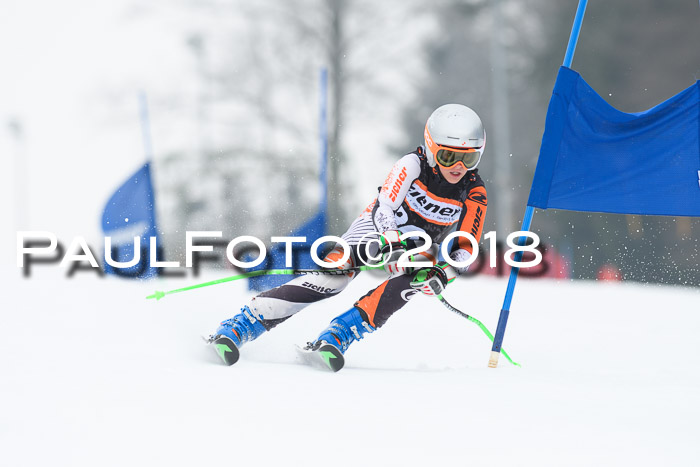 BSV U12 Kids Cross Cup 3 Region 3, 24.02.2018