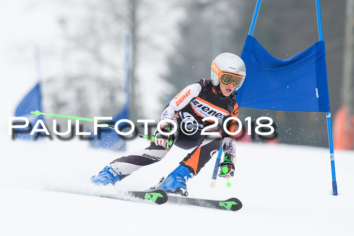 BSV U12 Kids Cross Cup 3 Region 3, 24.02.2018