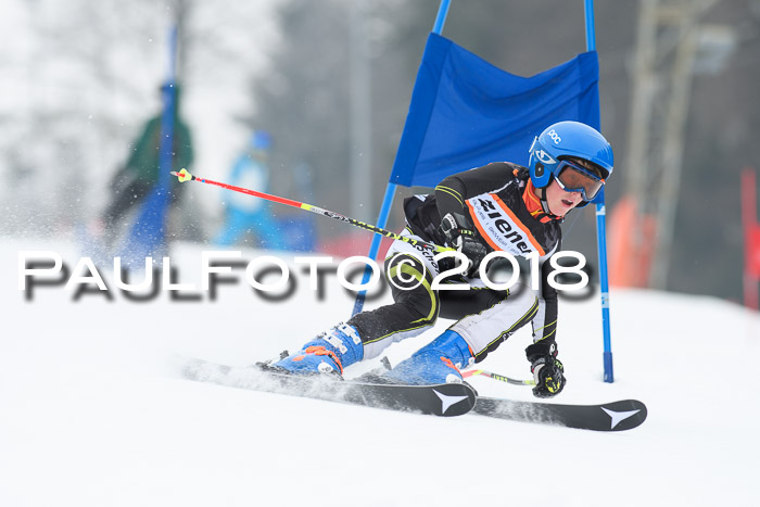BSV U12 Kids Cross Cup 3 Region 3, 24.02.2018
