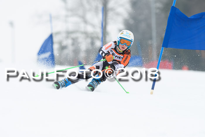 BSV U12 Kids Cross Cup 3 Region 3, 24.02.2018