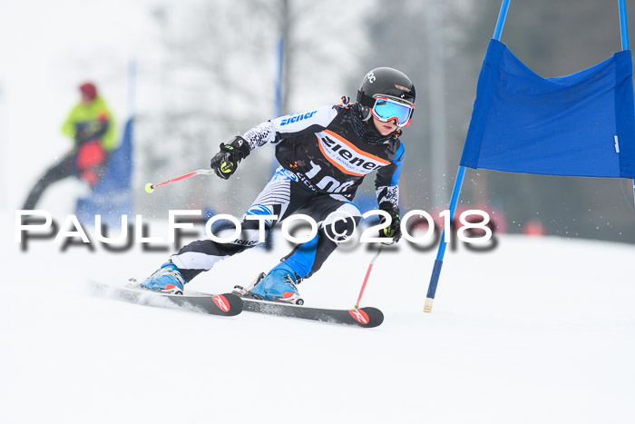 BSV U12 Kids Cross Cup 3 Region 3, 24.02.2018