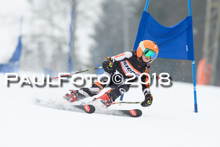 BSV U12 Kids Cross Cup 3 Region 3, 24.02.2018