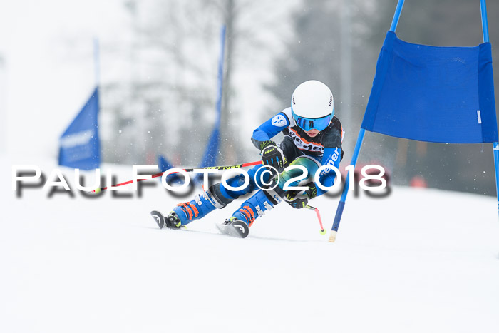 BSV U12 Kids Cross Cup 3 Region 3, 24.02.2018