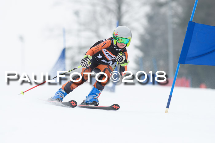 BSV U12 Kids Cross Cup 3 Region 3, 24.02.2018