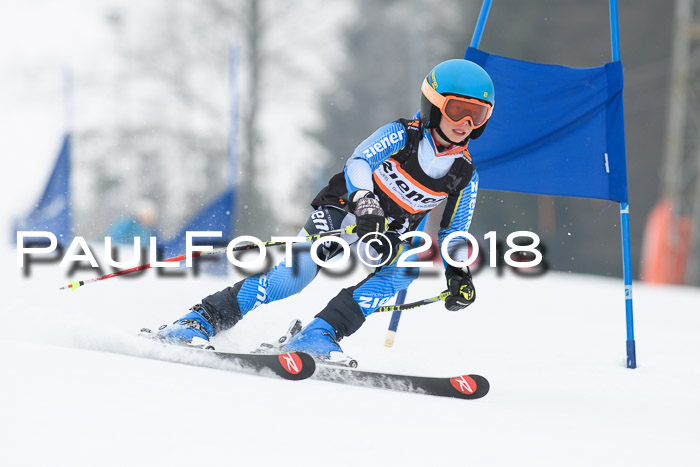 BSV U12 Kids Cross Cup 3 Region 3, 24.02.2018