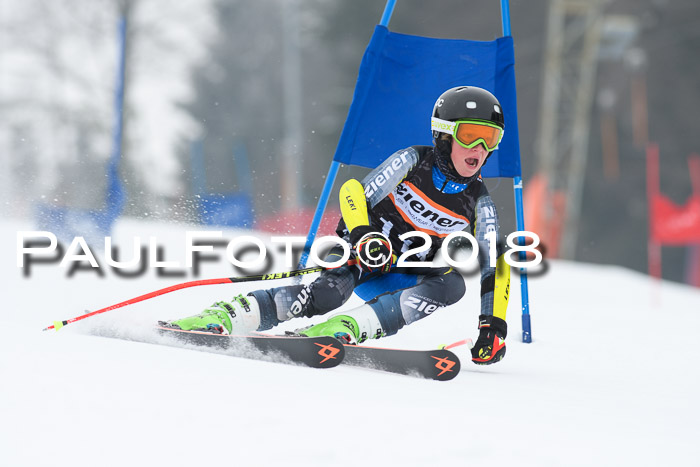 BSV U12 Kids Cross Cup 3 Region 3, 24.02.2018