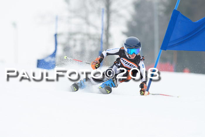 BSV U12 Kids Cross Cup 3 Region 3, 24.02.2018