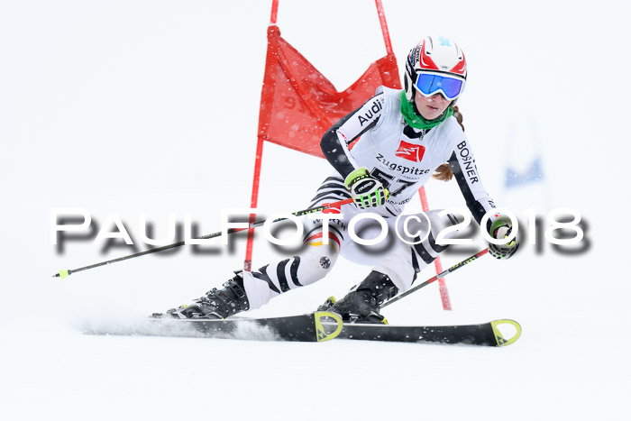 7. BZB CUP RS, 25.02.2018