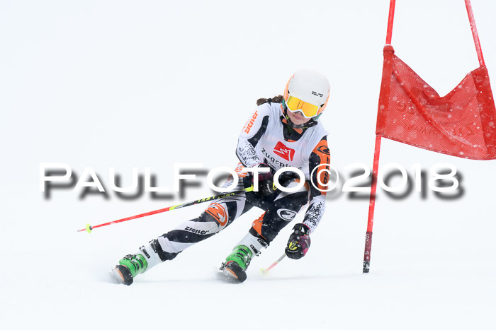 7. BZB CUP RS, 25.02.2018
