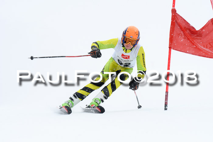 7. BZB CUP RS, 25.02.2018