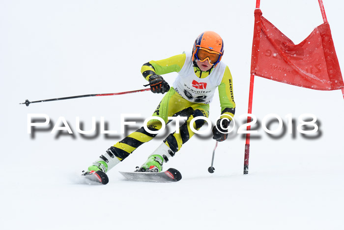 7. BZB CUP RS, 25.02.2018