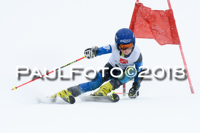 7. BZB CUP RS, 25.02.2018