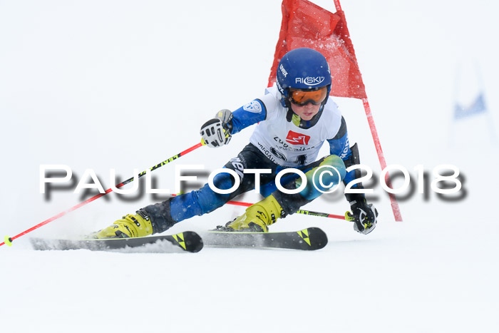 7. BZB CUP RS, 25.02.2018