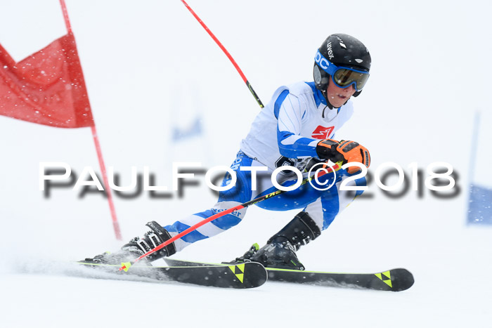7. BZB CUP RS, 25.02.2018