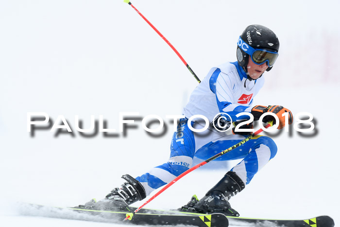 7. BZB CUP RS, 25.02.2018