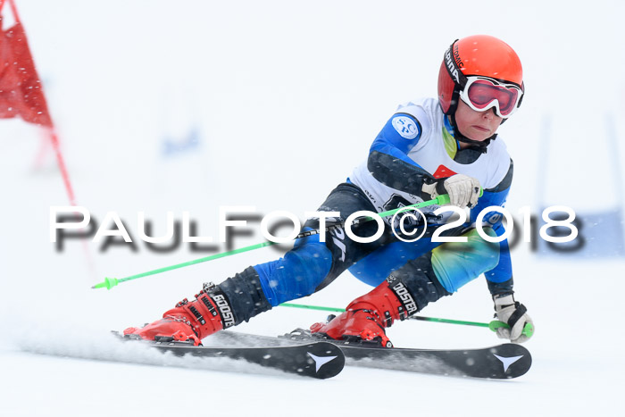 7. BZB CUP RS, 25.02.2018