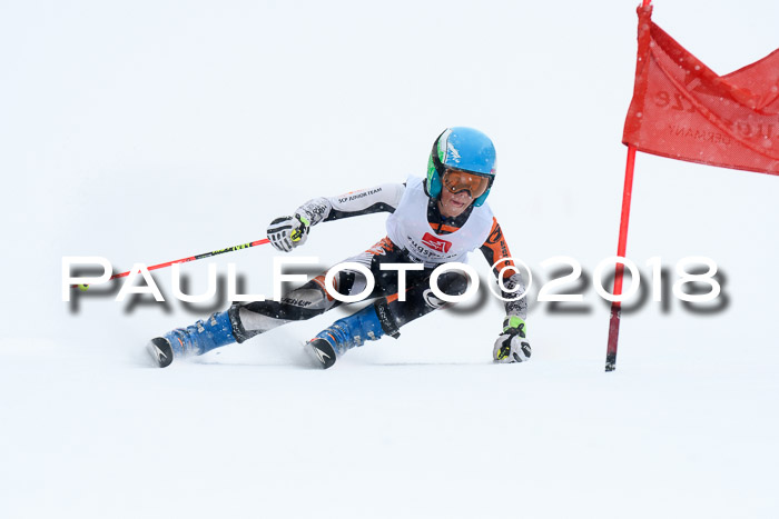 7. BZB CUP RS, 25.02.2018