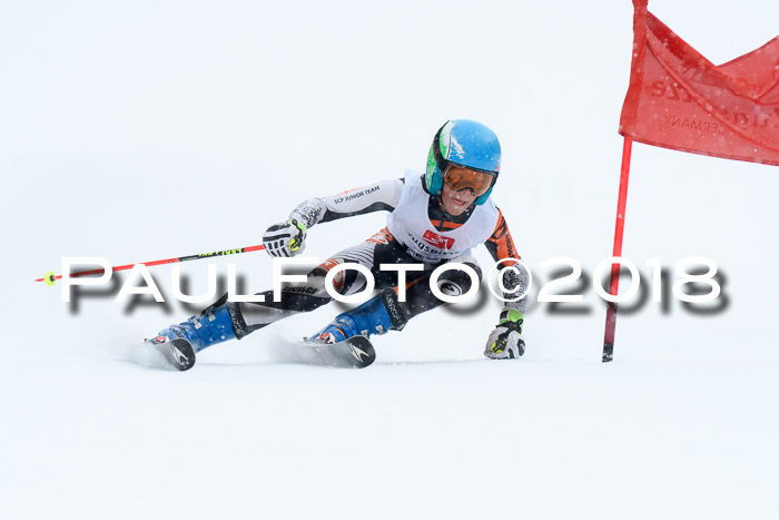 7. BZB CUP RS, 25.02.2018