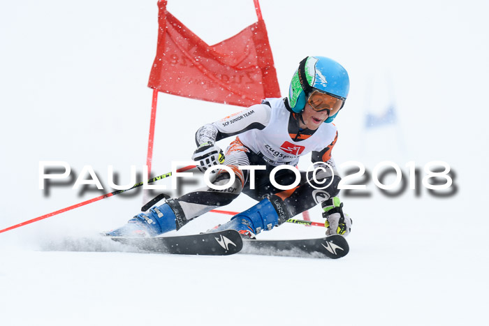 7. BZB CUP RS, 25.02.2018