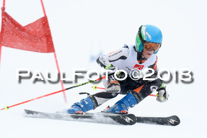7. BZB CUP RS, 25.02.2018