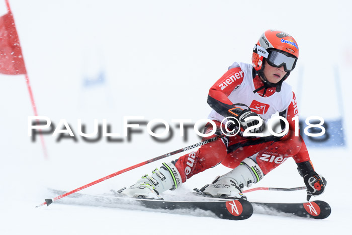 7. BZB CUP RS, 25.02.2018