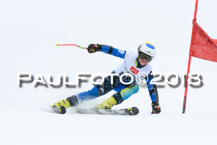 7. BZB CUP RS, 25.02.2018