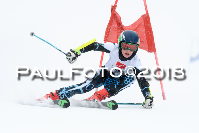 7. BZB CUP RS, 25.02.2018