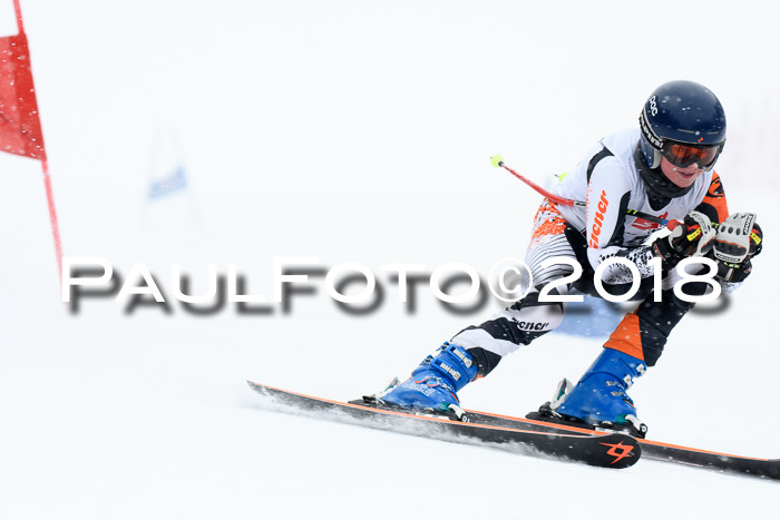 7. BZB CUP RS, 25.02.2018