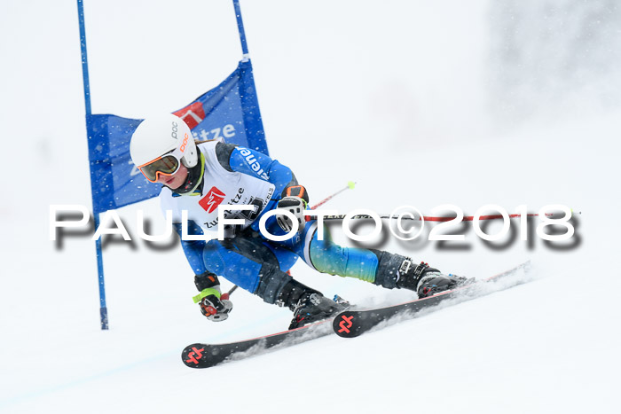 7. BZB CUP RS, 25.02.2018