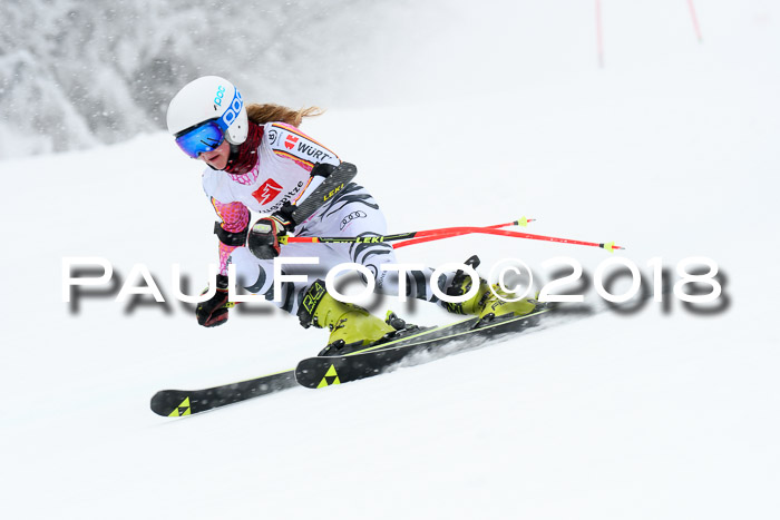 7. BZB CUP RS, 25.02.2018