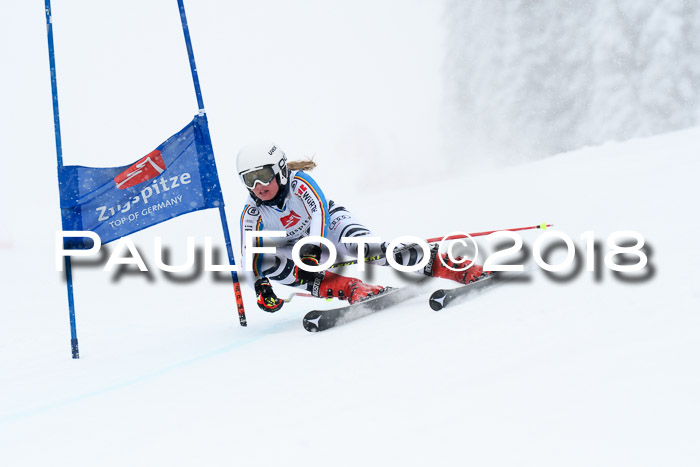 7. BZB CUP RS, 25.02.2018