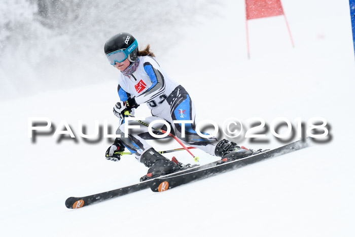 7. BZB CUP RS, 25.02.2018
