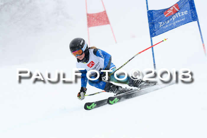 7. BZB CUP RS, 25.02.2018