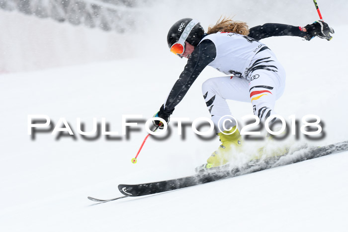 7. BZB CUP RS, 25.02.2018