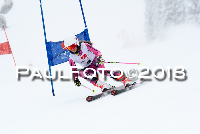 7. BZB CUP RS, 25.02.2018