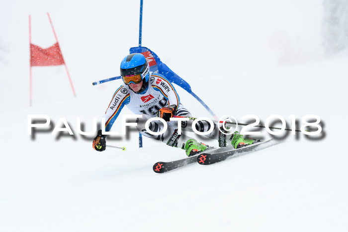 7. BZB CUP RS, 25.02.2018