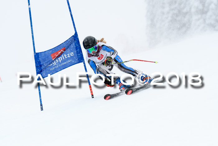 7. BZB CUP RS, 25.02.2018