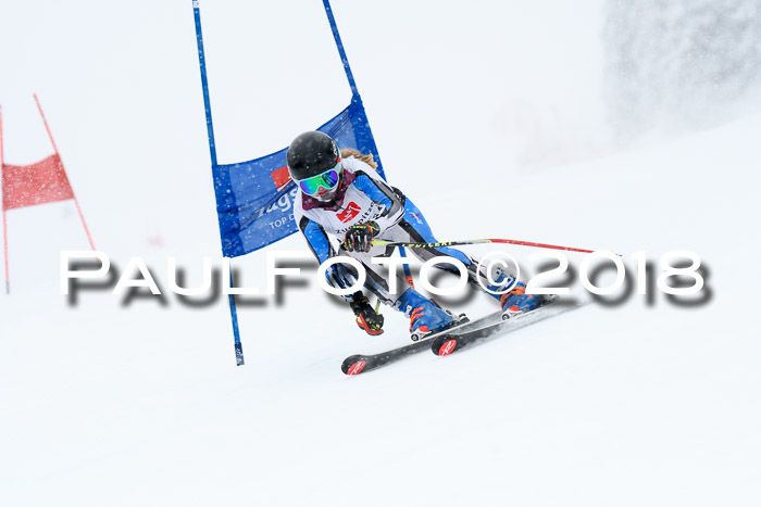7. BZB CUP RS, 25.02.2018