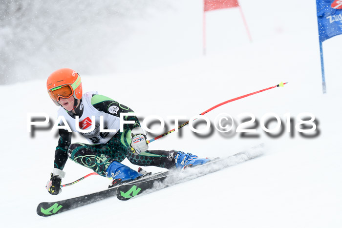 7. BZB CUP RS, 25.02.2018